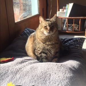 Meet your Posher, Bryce